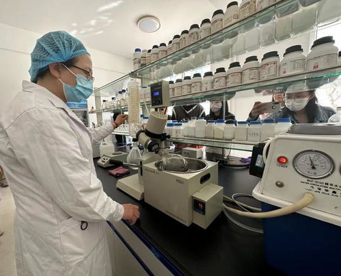 寧夏化妝品風(fēng)靡俄羅斯市場(chǎng)，新型汽輪機(jī)研發(fā)與銷(xiāo)售齊頭并進(jìn)